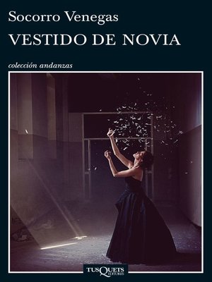 cover image of Vestido de novia